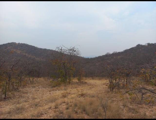 FARM FOR SALE IN MOPANE